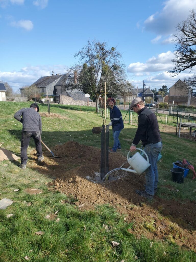 Deuxième illustration de la fiche de plantation du Relais